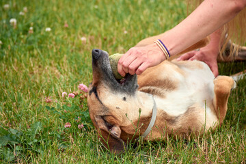 A closeup shot of a white Caucasian girl in the park with her dog