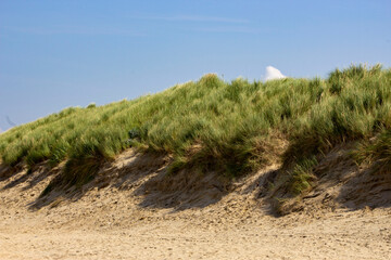 A party of the dune with greenery