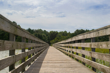 Fototapeta na wymiar wooden foot bridge over the swamp and river