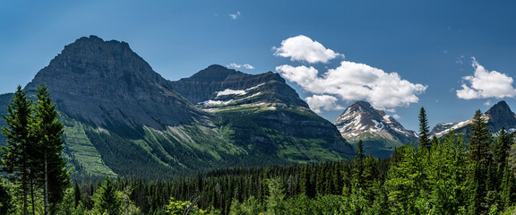MOUNTAIN PEAKS AND FOREST PANORAMA - GLACIER NP
