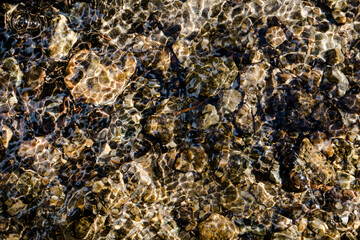 Water refracting light over stream bed