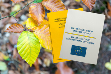 New electronic vaccination certificate and old yellow vaccination passport on an autumn background with yellowed leaves. Vaccination and surveillance concepts. The concept of privileges for vaccinated - obrazy, fototapety, plakaty