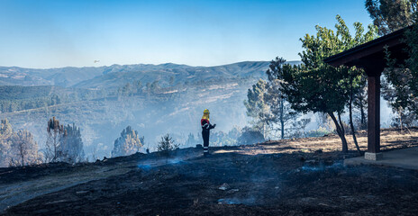 Bosque después de un incendio forestal, en Galicia, España. 
Helicópteros de bomberos