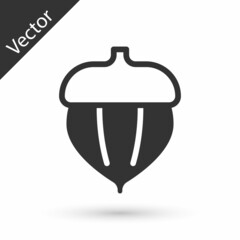 Grey Acorn icon isolated on white background. Vector