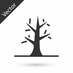 Grey Bare tree icon isolated on white background. Vector