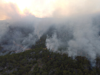Summer forest fires. Smoke of a forest fire obscures the sun. Natural disasters. Bogsak, Mersin province, Turkey