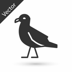Grey Bird seagull icon isolated on white background. Vector