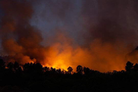 Incendio forestal por la noche en Ourense, Galicia, Spain.