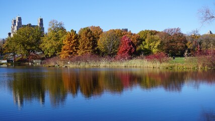 Obraz premium City park, fall trees reflecting on the lake