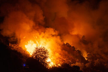 Incendio forestal por la noche en Ourense, Galicia, Spain.