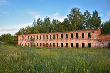 Fototapeta premium part of a ruined red brick wall surrounded by greenery