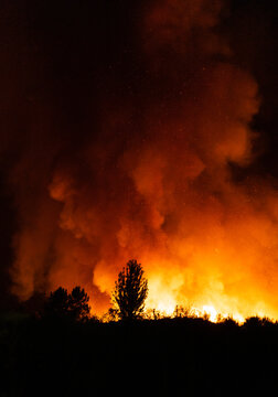 Incendio forestal por la noche en Ourense, Galicia, Spain.