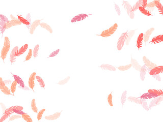 Detailed majestic feather on white design.