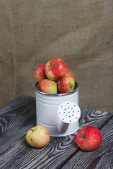 Red apples in a metal watering can.  On pine boards.  On a linen background.  Harvest apples.