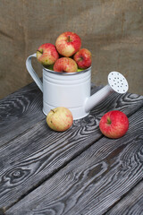 Red apples in a metal watering can.  On pine boards.  On a linen background.  Harvest apples.