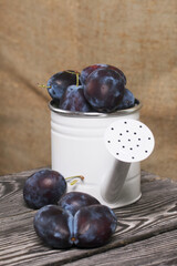 Large plums in a metal watering can.  On pine boards.  On a linen background.  Harvest plums.