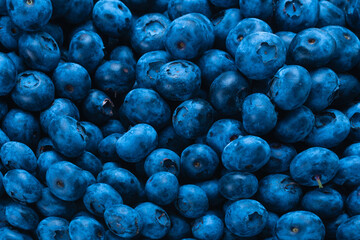 Fresh blueberry background.