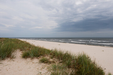 Sand dunes and dramatic sky over the sea and Sandhammaren beach in Skåne, Sweden on a summer evening. 