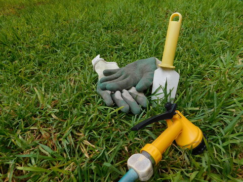 jardiner&iacute;a en casa 