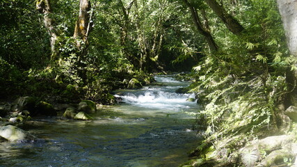 Obraz premium Naturaleza, puente de dios, 