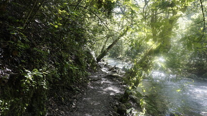 Naturaleza, puente de dios, 