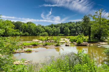 Obraz na płótnie Canvas a gorgeous shot of the silky brown waters of the Chattahoochee river surrounded by lush green trees with blue sky and clouds at McIntosh Reserve Park in Whitesburg Georgia
