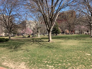 bench in the park