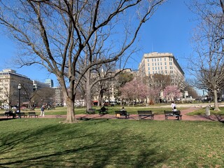view of the park of the palace