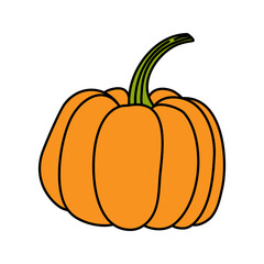 Orange Pumpkin illustration in doodle style. Pumpkin - a symbol of Halloween, Fall, and Thanksgiving. Squash silhouette. Isolated on white background. Vector. For menu, farmers markets, print