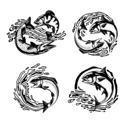 Vector jumping fish monochrome illustrations with water splashes