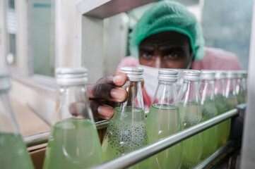 woman inspection engineer working in term of water quality checking control, food factory industry production plant, business work with equipment line machine technology