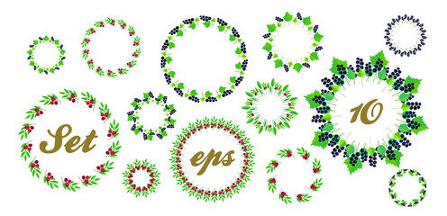 A set of various wreaths of leaves and berries. berries of black currant and cranberries.
