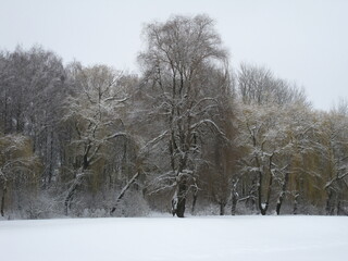 village, winter,old houses