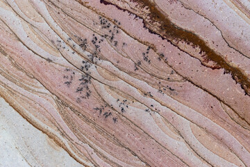 textura de piedra natural de traquita para revestimiento 