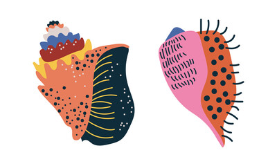 Doodle Ornamental Seashell with Hard Marine Shell Vector Set