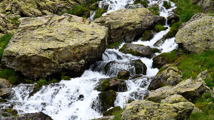 waterfall in the forest