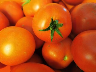 tomatoes on the vine