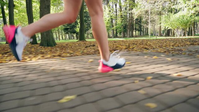 Female runner in sport sneakers jogging at asphalt path at local city park. Close up of strong woman's legs. Concept of regular training on fresh air.