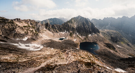 Mountain valley full of  lake and blooming flowers and a sidewalk leading to the valley. High Tatras national park , Mlynicka dolina, Slovakia landscape. © Zedspider