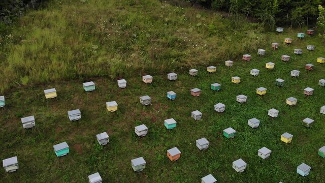 Aerial shot.A bee apiary with a group of hives is located in the forest and a small house . The view from the top.At the golden Hour, In Prahova Romania 