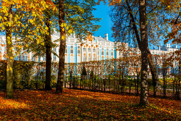 Catherine palace in autumn foliage, Tsarskoe Selo (Pushkin), Saint Petersburg, Russia