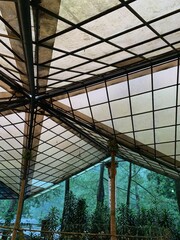 glass roof structure