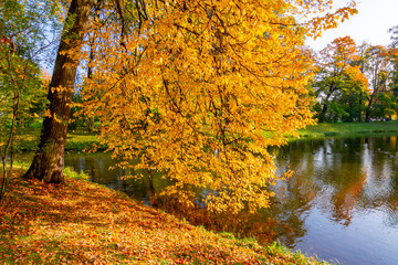 Alexander park in autumn, Pushkin (Tsarskoe Selo), Saint Petersburg, Russia
