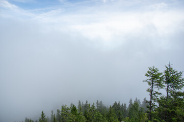 Morning fog in the mountains Beautiful summer landscape