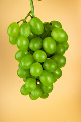 Bunch of grapes of white filling, on a yellow background
