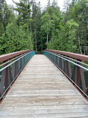 Wooden bridge in the forest