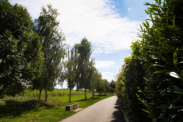 A park path in Pattonville