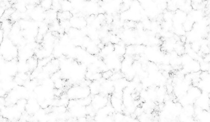 Marble granite white panorama background wall surface pattern graphic abstract light elegant gray for do floor ceramic counter texture stone slab smooth tile silver natural.