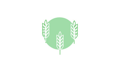 Premium wheat, grain, barley, logo, vector, icon 