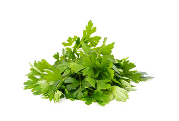 Bunch of green parsley.